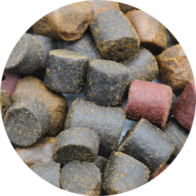 Pellety Karpiowe- Vario Mixed Pellets L 16-25mm 10kg- pellet