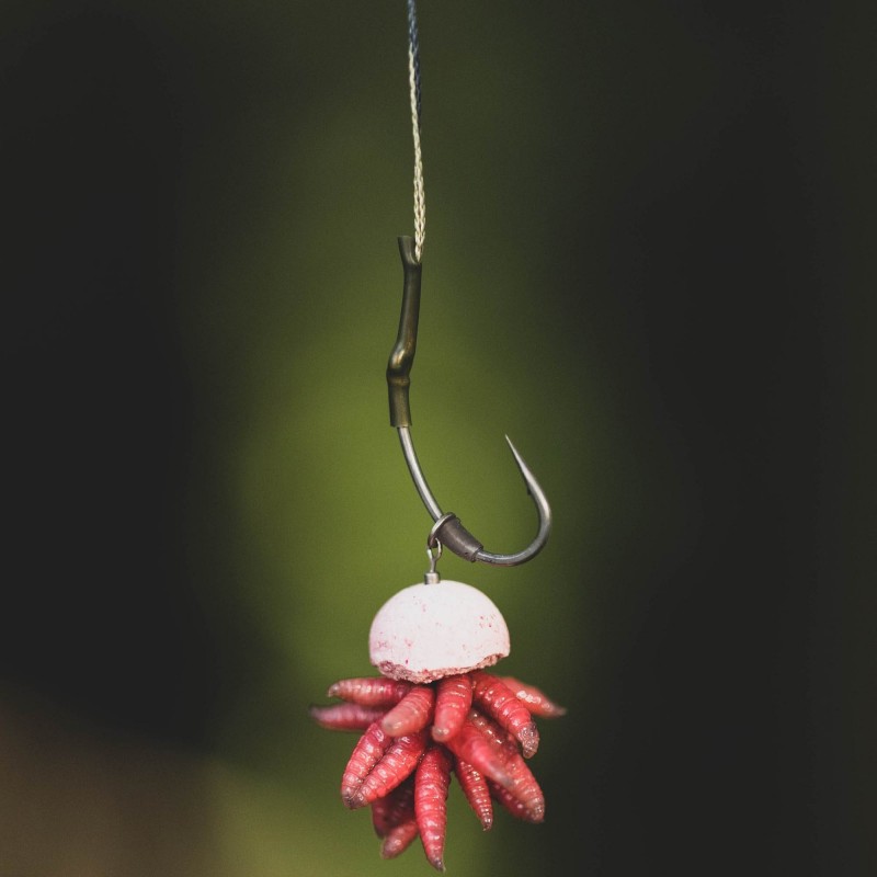 5e648de5169e36fae850eac98043a758