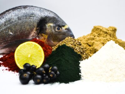 6f33b8f3c2d651032c4e9941593ed527