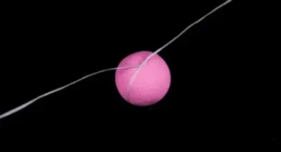 31ab744383bd2da87e8cd8fd5cfc4f61