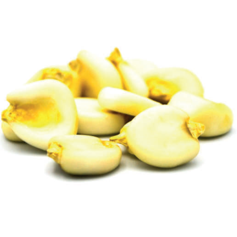 5217afa0787abaf7c20088090f41011c